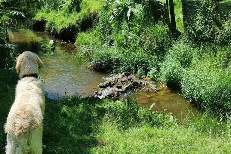 Photo of property in 11a Tui Street, Te Puke, 3119