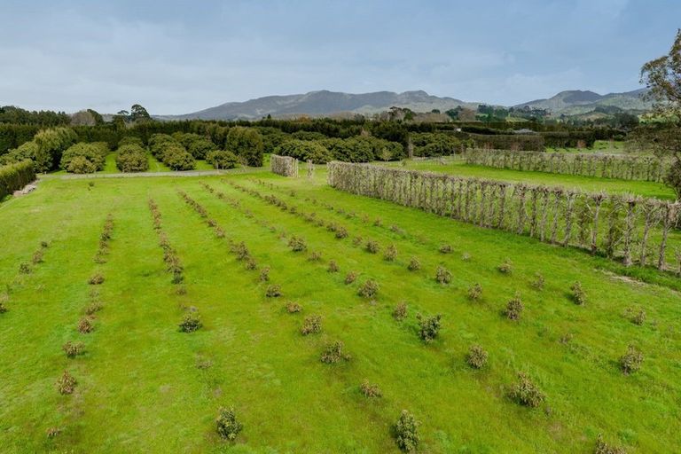 Photo of property in 30b Thompsons Track, Aongatete, 3178