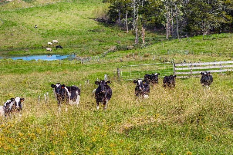 Photo of property in 122 Hurndall Street East, Maungaturoto, 0520