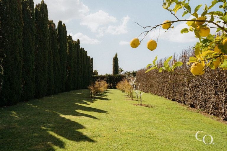 Photo of property in 24 Plane Tree Lane, Tauriko, Tauranga, 3110