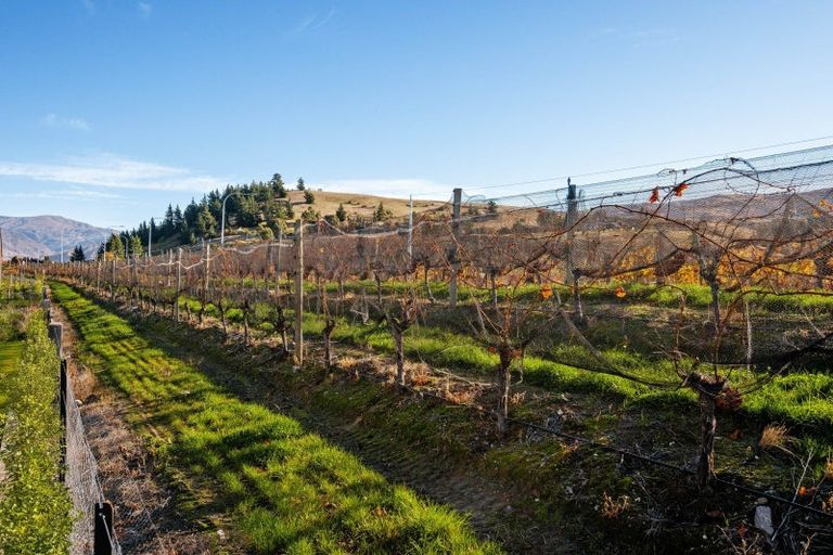 Photo of property in 101 Wooing Tree Avenue, Cromwell, 9310