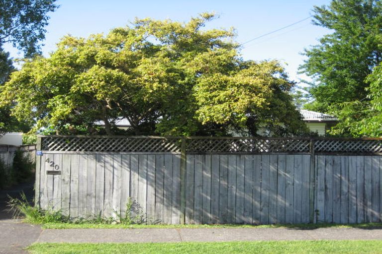 Photo of property in 420 Raikes Avenue, Te Awamutu, 3800