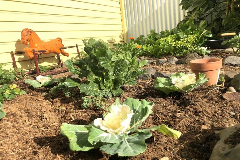 Photo of property in 72 Roberts Street, Waihi, 3610