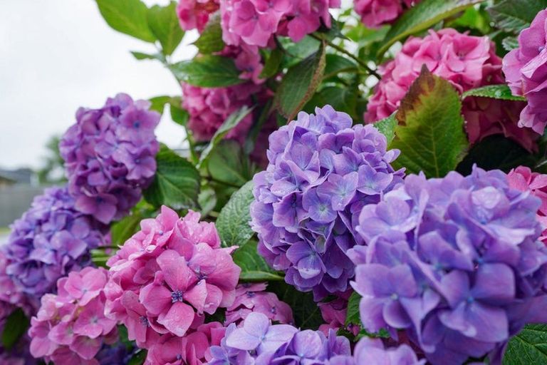 Photo of property in 557 Herbert Street, Waverley, Invercargill, 9810