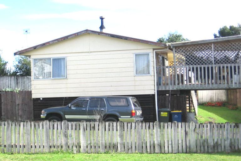 Photo of property in 50 Hinerau Street, Henderson, Auckland, 0612