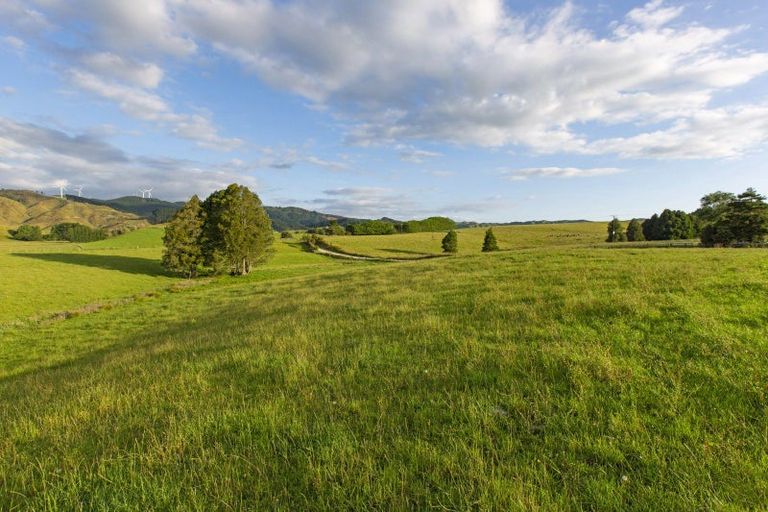 Photo of property in 9a Pond Road, Raglan, 3295