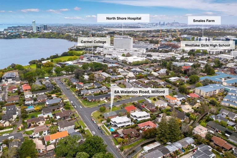 Photo of property in 1/8 Waterloo Road, Milford, Auckland, 0620