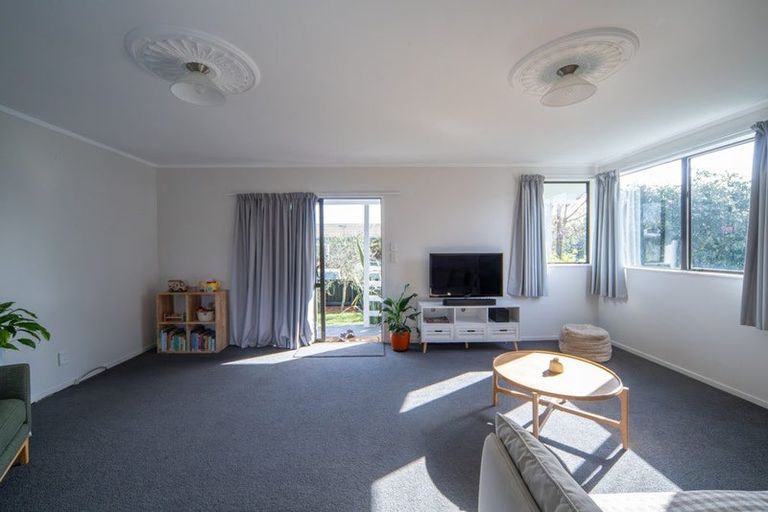 Photo of property in 45 Alison Street, Hamilton Lake, Hamilton, 3204