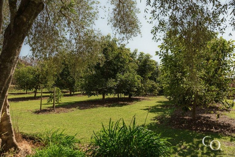 Photo of property in 24 Plane Tree Lane, Tauriko, Tauranga, 3110