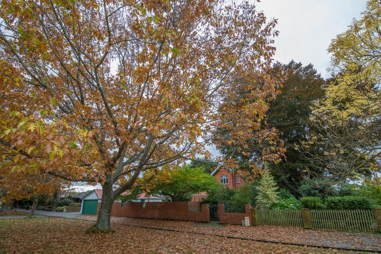 Photo of property in 105 Walnut Avenue, Allenton, Ashburton, 7700