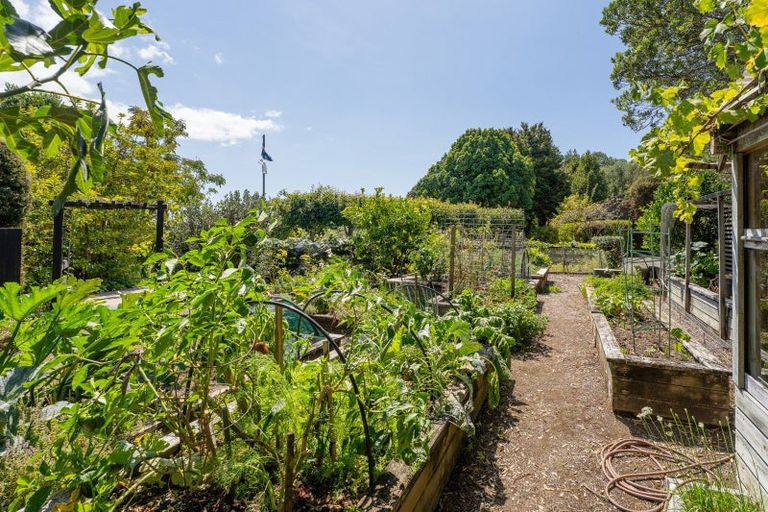 Photo of property in 49 Sarahs Hill, Hahei, Whitianga, 3591