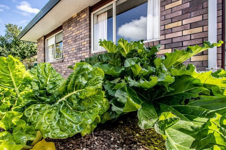 Photo of property in 16b Manchester Street, Levin, 5510