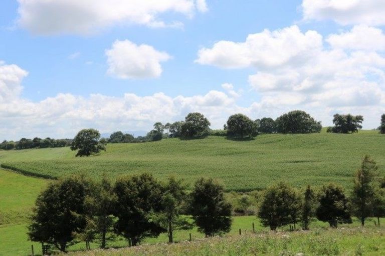 Photo of property in 399 Waotu South Road, Waotu, Putaruru, 3481