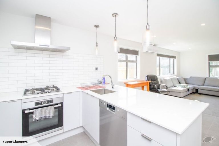 Photo of property in 113a Witako Street, Epuni, Lower Hutt, 5011