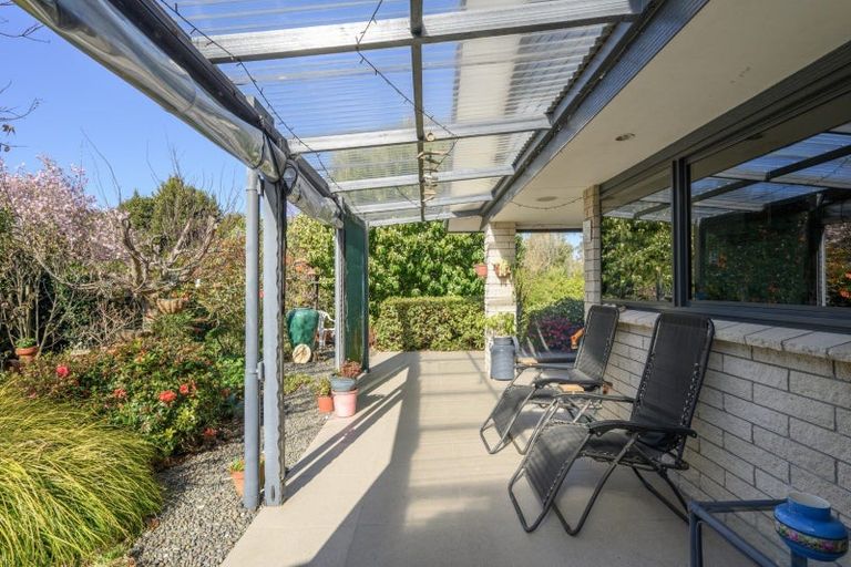 Photo of property in 561 Cambridge Road, Tauriko, Tauranga, 3110