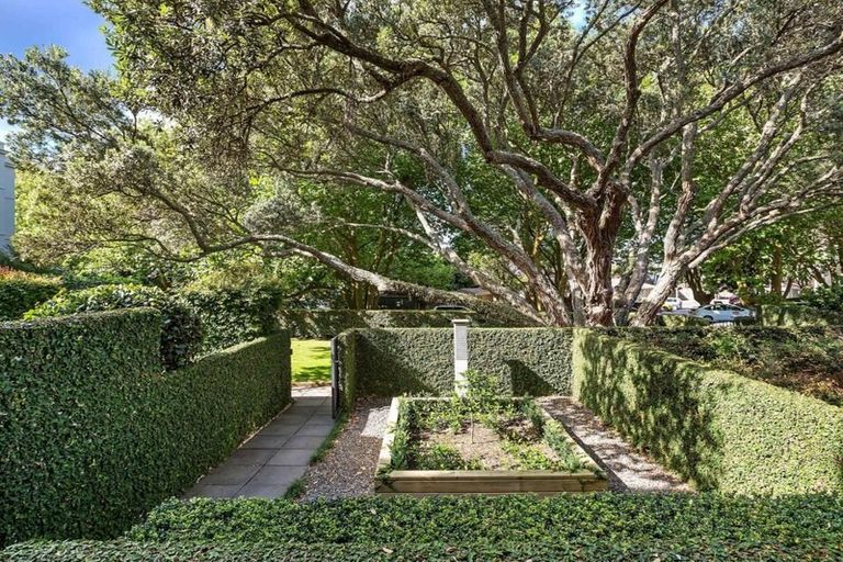 Photo of property in 12b Domain Drive, Parnell, Auckland, 1052