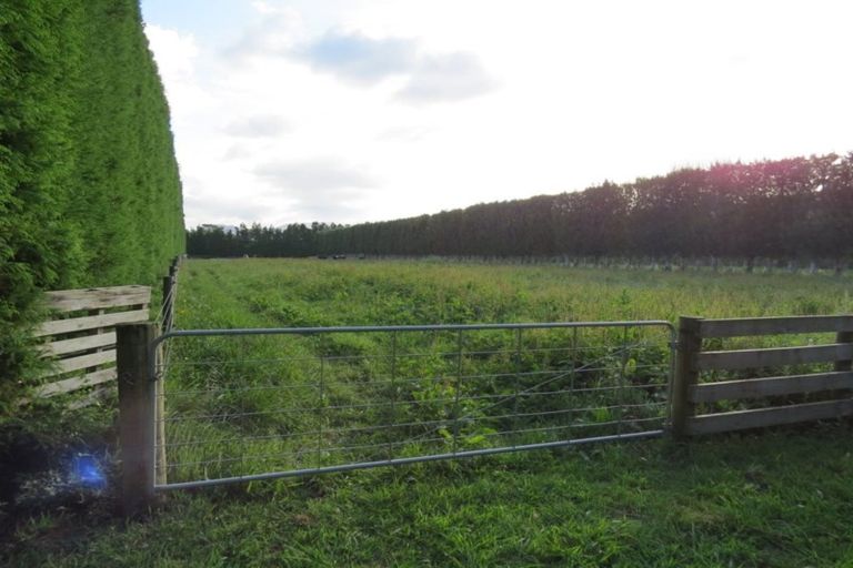 Photo of property in 98 Tetley Road, Tahawai, 3178