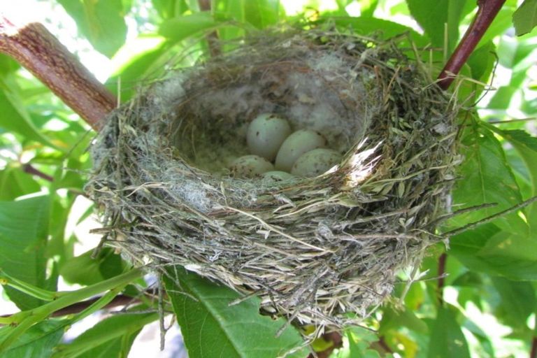 Photo of property in 80 Tararua Road, Levin, 5571