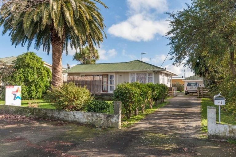 Photo of property in 155 Cambridge Street, Levin, 5510