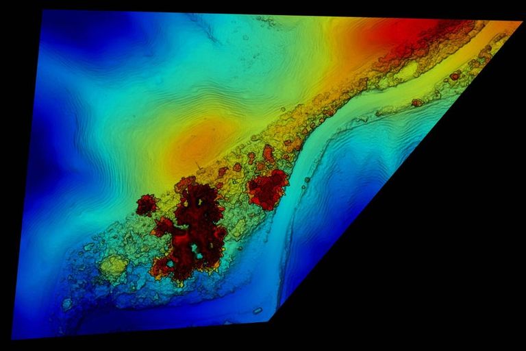 Photo of property in 913 Access Road, Ruawai, 0594