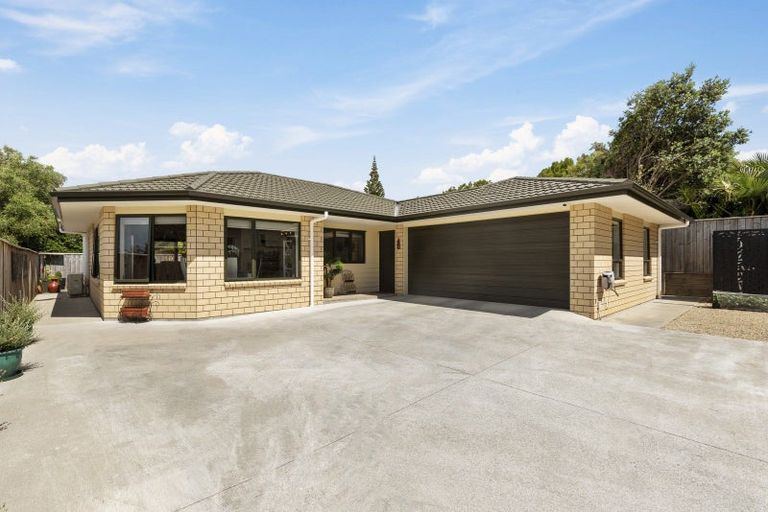 Photo of property in 136b Cambridge Street, Levin, 5510