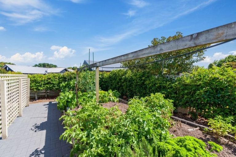 Photo of property in 24 Montgomery Crescent, Kinloch, Taupo, 3377