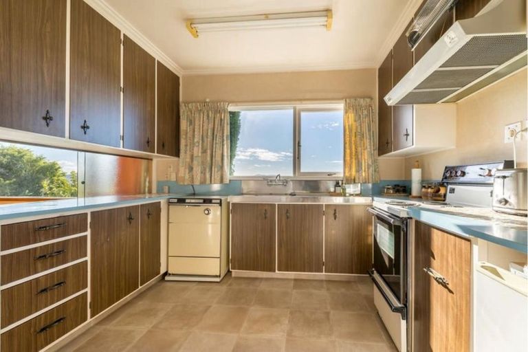 Photo of property in 53 Mailer Street, Mornington, Dunedin, 9011