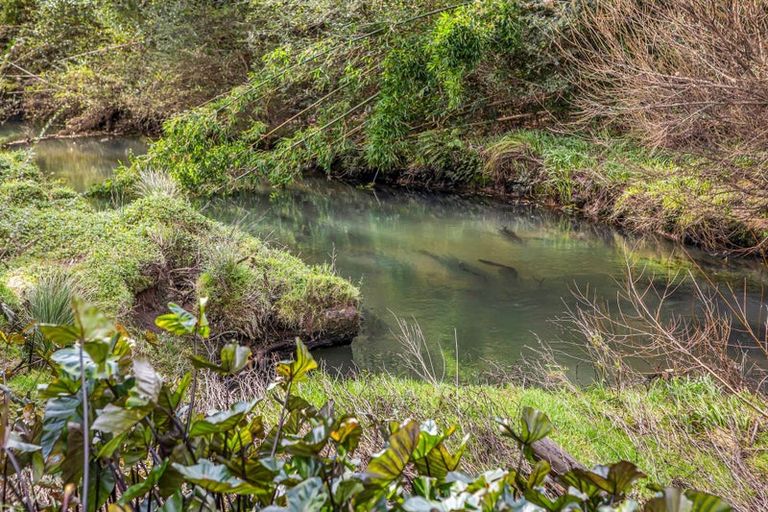 Photo of property in 915 Fairburn Road, Kaitaia, 0482