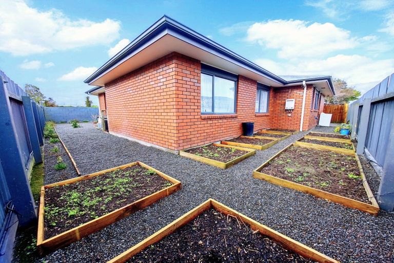 Photo of property in 105a Limbrick Street, Terrace End, Palmerston North, 4410