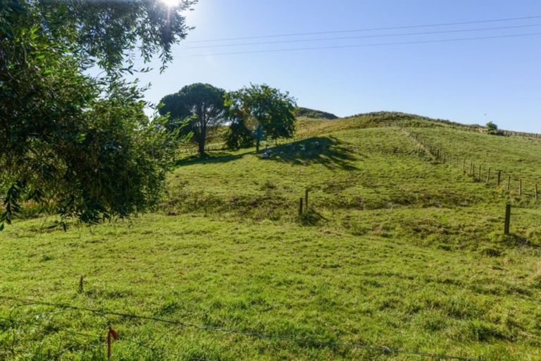 Photo of property in 250 Hendley Road, Patoka, Napier, 4186