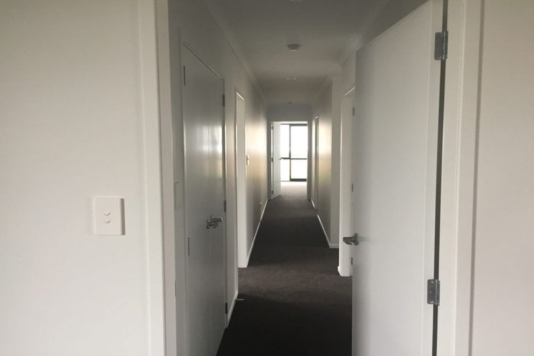 Photo of property in 41 Bert Wall Drive, Omokoroa, 3114