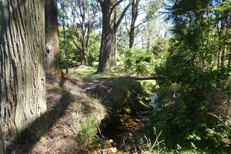 Photo of property in 168 Graham Valley Road, Motueka Valley, Motueka, 7196