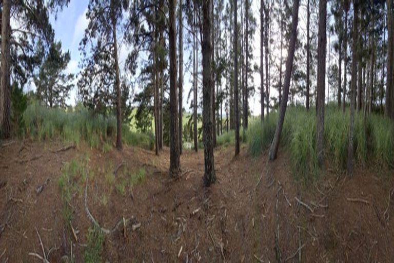 Photo of property in 913 Access Road, Ruawai, 0594