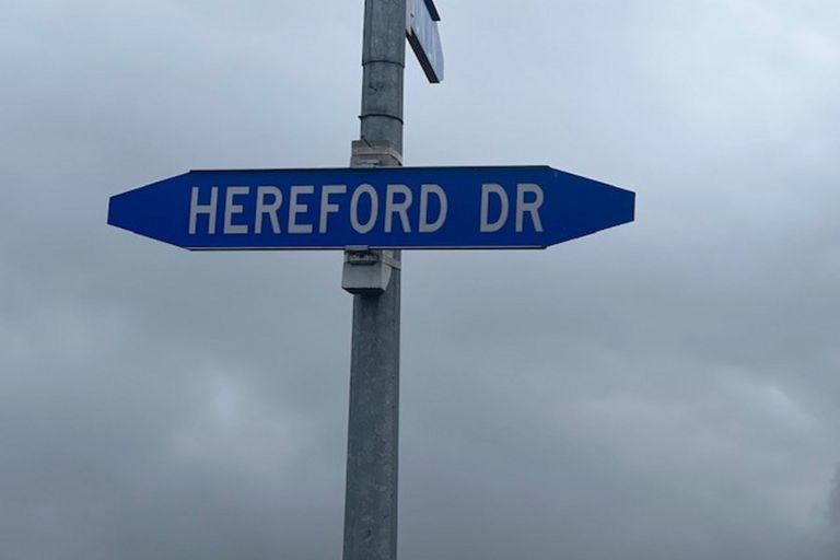 Photo of property in 8 Hereford Drive, Carterton, 5713