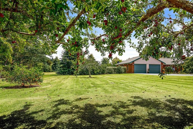 Photo of property in 39 Oak River Drive, Warkworth, 0985