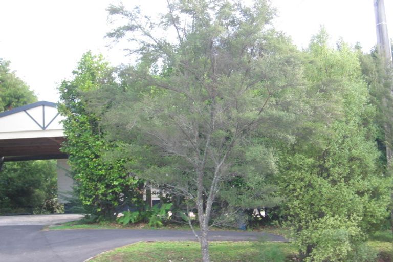 Photo of property in 236 Glengarry Road, Glen Eden, Auckland, 0602