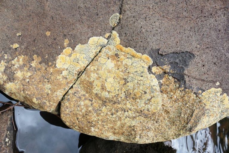 Photo of property in 1052 Wekaweka Road, Waimamaku, Kaikohe, 0473