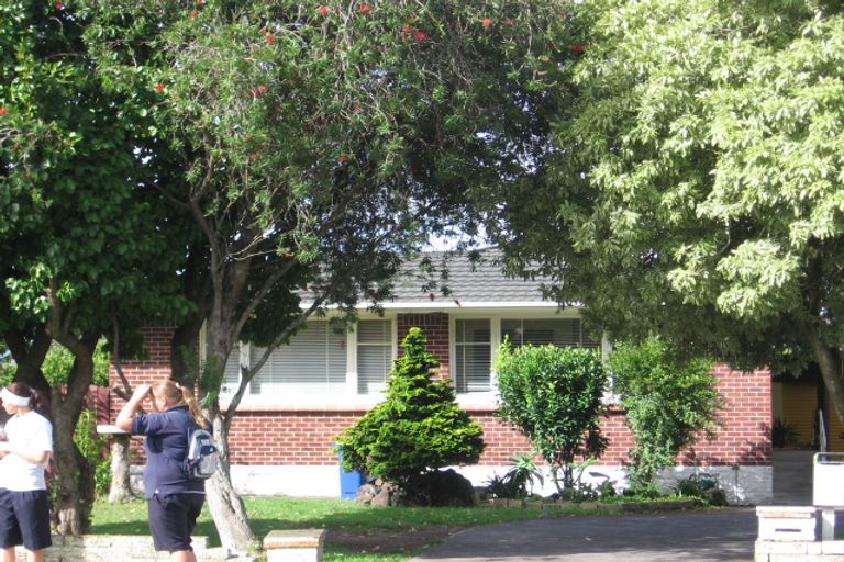 Photo of property in 51 Rathgar Road, Henderson, Auckland, 0610