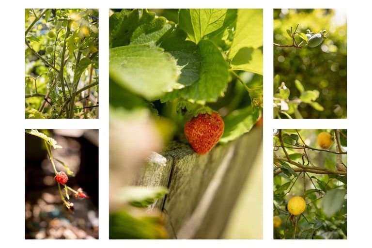 Photo of property in 212 Bellevue Road, Bellevue, Tauranga, 3110