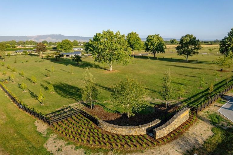 Photo of property in 18 Orchard Place, Matamata, 3472