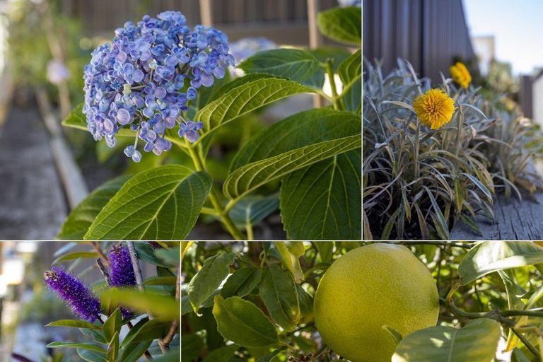 Photo of property in 19 Omega Place, Coastlands, Whakatane, 3120