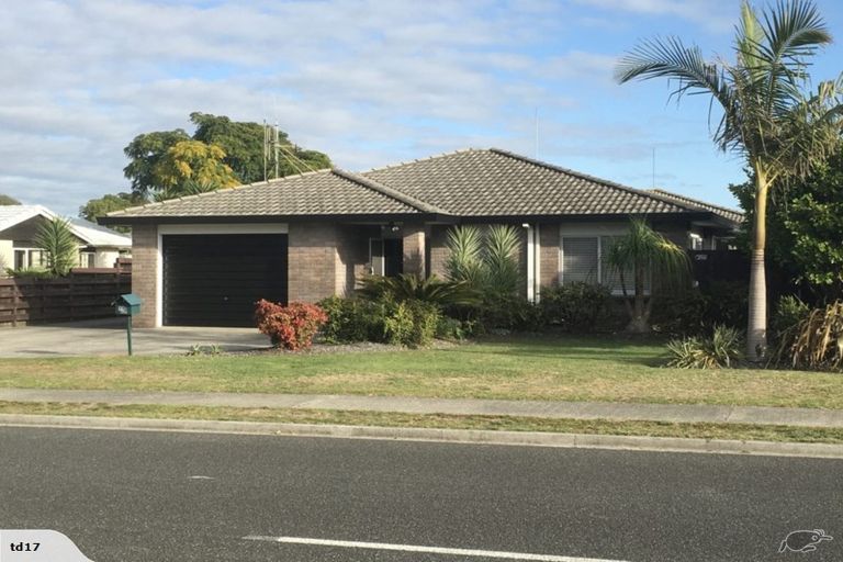 Photo of property in 11a Hibiscus Avenue, Mount Maunganui, 3116