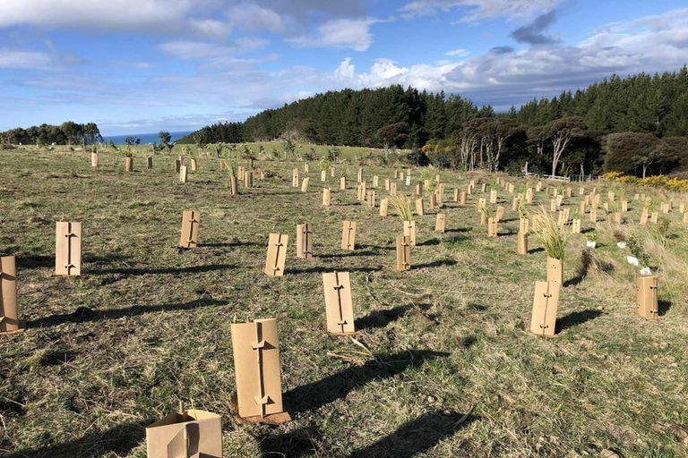 Photo of property in 147 Akatore Road, Taieri Beach, Taieri Mouth, 9091