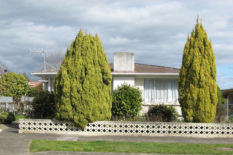 Photo of property in 9a Mclean Terrace, Waipukurau, 4200