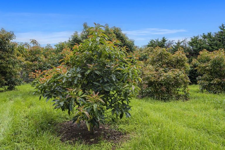 Photo of property in 161 Newton Road, Maungatapere, Whangarei, 0170