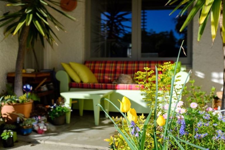 Photo of property in 82 Passmore Crescent, Maori Hill, Dunedin, 9010