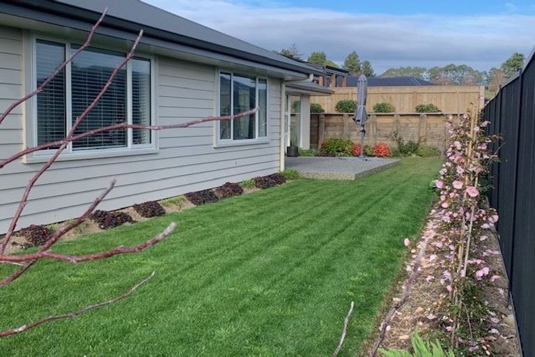 Photo of property in 15 Cupola Crescent, Richmond, 7020