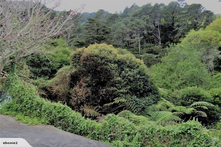 Photo of property in 218 Mount Sea Road, Thames, 3500