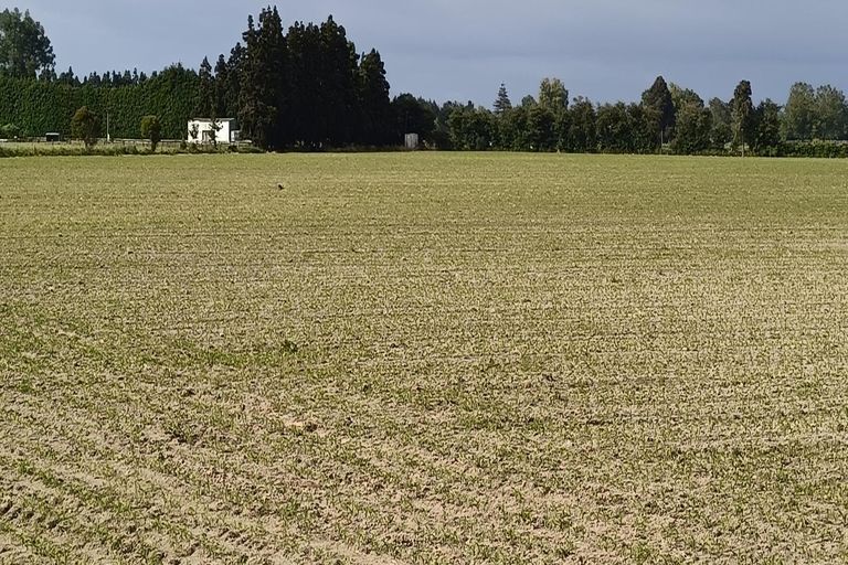 Photo of property in 53 Friedlander Road, Eureka, Hamilton, 3287