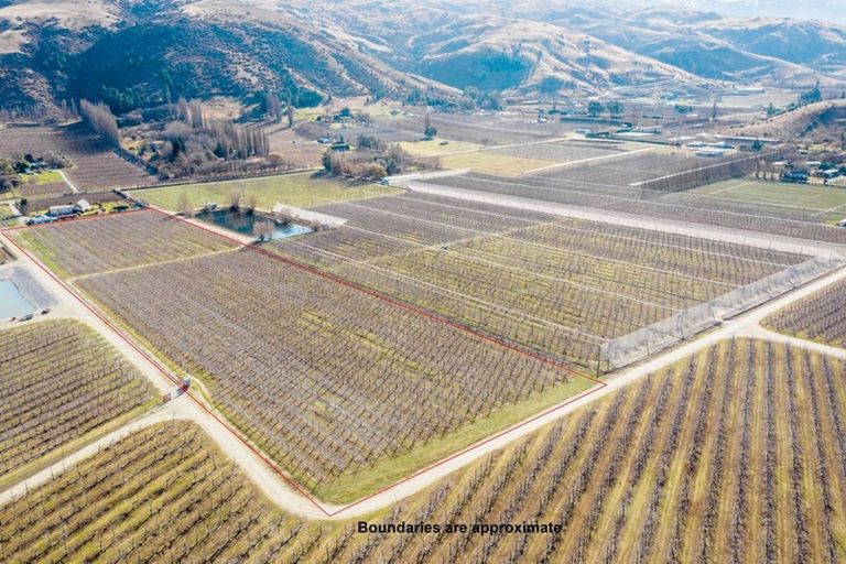 Photo of property in 319 Ripponvale Road, Cromwell, 9384